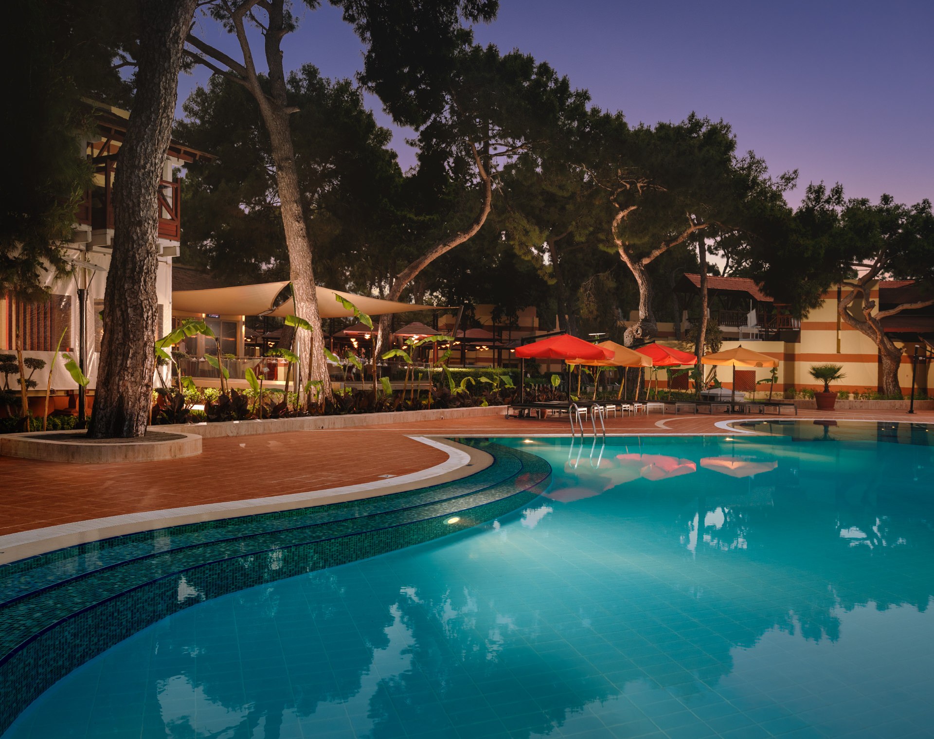 Luxury resort swimming pool at twilight with glowing terrace lighting, tall pine trees, and red parasols