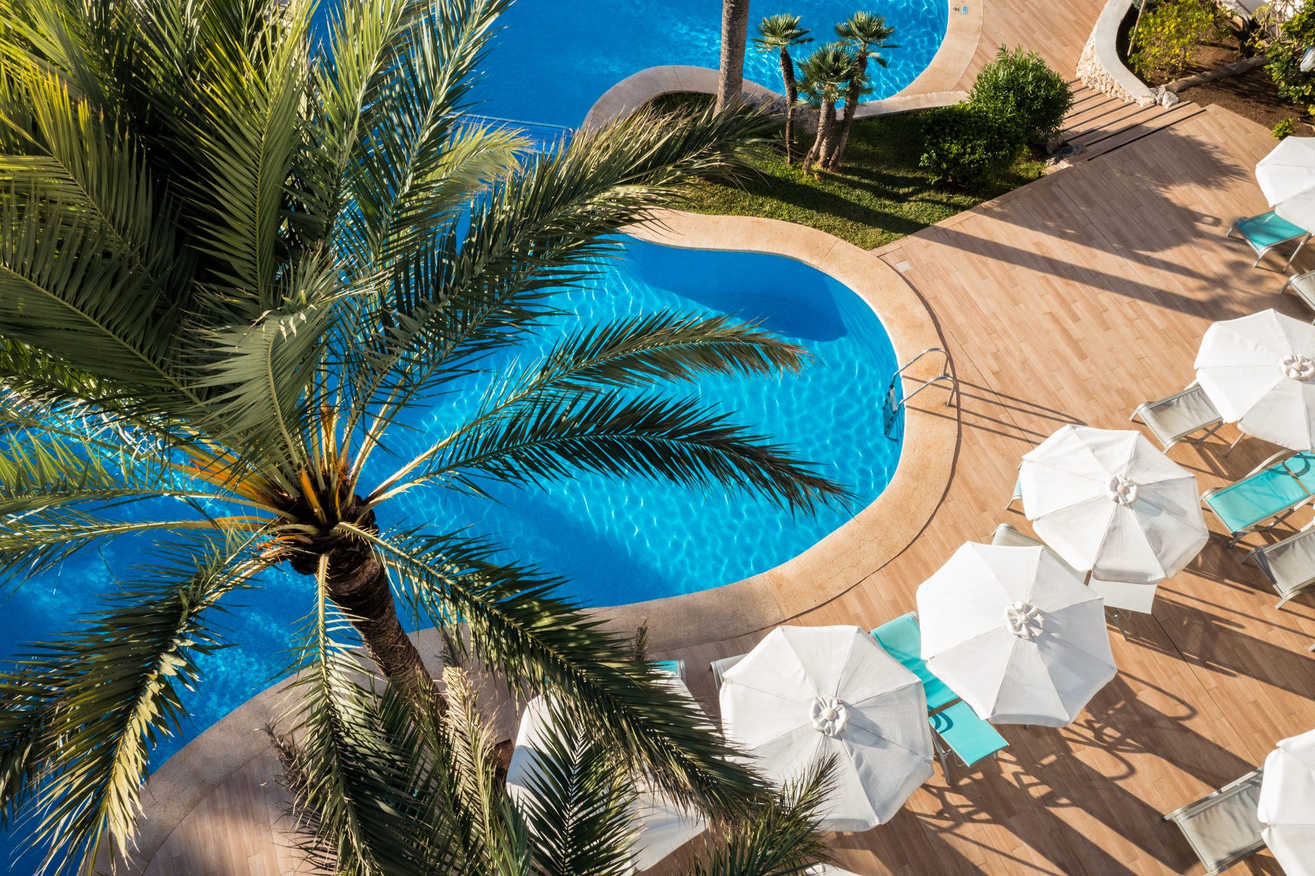 Aerial view of a tropical resort pool surrounded by palm trees and a manicured garden — hospitality photography